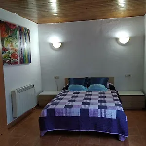 https://apartamentos-loli.catalonia-hotels.com